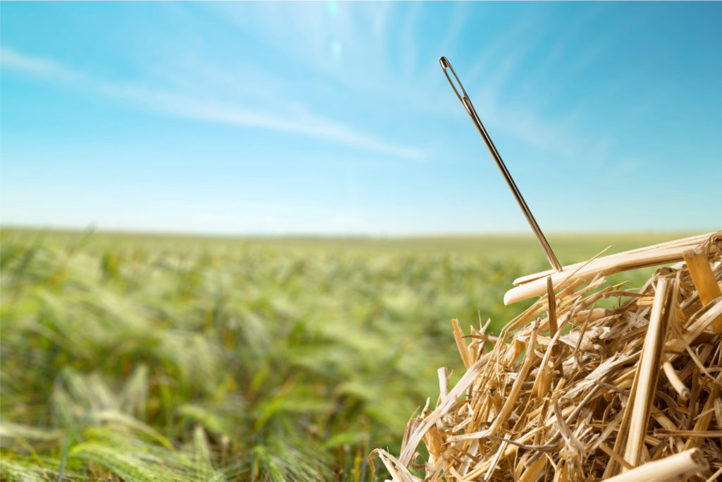 close up picture of a needle stuck in some hay - a visual representation of a needle in a haystack
