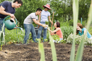 A group of individuals working together joyfully in a communal garden.