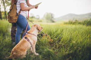 a couple looking at a map and holding dogs on leashes