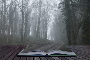 An open book on a wooden table in a woods. 